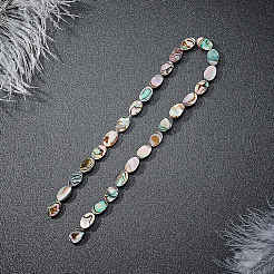 天然アワビシェル/パウアシェルビーズ  オーバル  10.36x6.3x3.28mm  穴：0.5mm&nbsp;SSHEL-BC0001-08