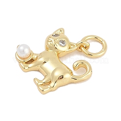 Rack Plating Brass Pendants&nbsp;KK-Q028-58G