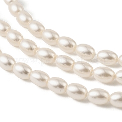 Electroplated Shell Pearl Beads Strands&nbsp;BSHE-Z009-10C