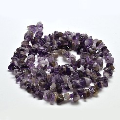 Chip Natural Amethyst Beads Strands&nbsp;LS-G-N0134-19