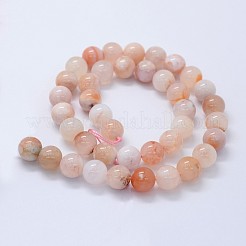 Natural Cherry Blossom Agate Beads Strands&nbsp;G-I206-01-10mm
