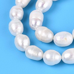 Natural Cultured Freshwater Pearl Beads Strands&nbsp;PEAR-T006-03