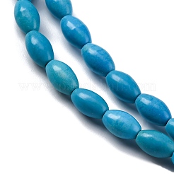 Synthetic Howlite Beads Strands&nbsp;G-F783-B01-01
