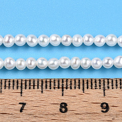 天然有核パールビーズ連売り  ラウンド  乳白色  3mm  穴：0.4mm  約140~141個/連  15.35~15.47''（39~39.3センチメートル）&nbsp;PEAR-N016-03A