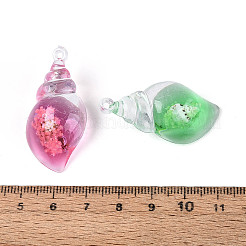 光る透明樹脂と貝殻のペンダント  巻き貝の形  ミックスカラー  39x19x15mm  穴：1.8mm&nbsp;RESI-T026-23M
