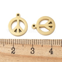304 Stainless Steel Charms&nbsp;STAS-L022-137G