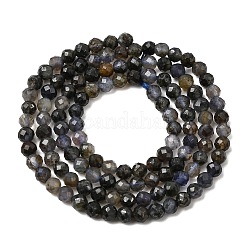 Natural Iolite Beads Strands&nbsp;G-G343-B01-3mm