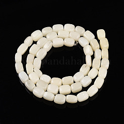 Natural White African Opal Beads Strands&nbsp;G-N346-04A-10