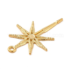 Ion Plating(IP) 304 Stainless Steel Pendants&nbsp;STAS-P312-22G