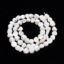 Natural Trochid Shell/Trochus Shell Beads Strands&nbsp;SSHEL-N032-48-B01