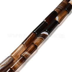 Dyed Natural Agate Beads Strands&nbsp;G-G203-01E