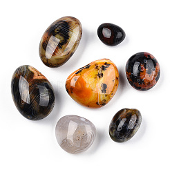 Natural Sardonyx Agate Home Display Decorations&nbsp;G-T104-40