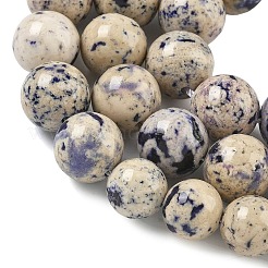Natural Fossil Graduated Beads Strands&nbsp;G-F830-A03-01D