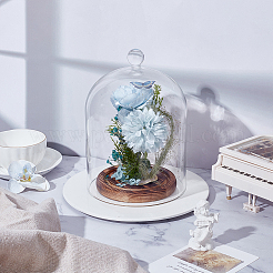 Glass Cloche Dome Covers&nbsp;AJEW-WH0460-033B