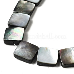 Natural Black Lip Shell Beads Strands&nbsp;BSHE-D300-07-15mm