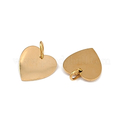 304 Stainless Steel Charms&nbsp;STAS-G357-09G