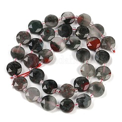 Natural Afican Bloodstone Beads Strands&nbsp;G-C116-A32-01