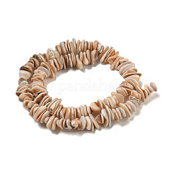Natural Seashell Shell Beads Strands&nbsp;SSHEL-H072-06