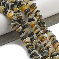 天然ブラックリップシェルビーズ連売り  チップ  2.5~6x6.5~10x7~11mm  穴：0.4mm  15.94''（40.5センチメートル）&nbsp;BSHE-G038-04