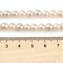 電気メッキ天然淡水シェルビーズ連売り  ラウンド  ホワイトスモーク  6mm  穴：0.8mm  約65個/連  15.75インチ（40cm）&nbsp;BSHE-G036-22
