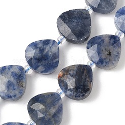 Natural Blue Spot Jasper Beads Strands&nbsp;G-D316-A04