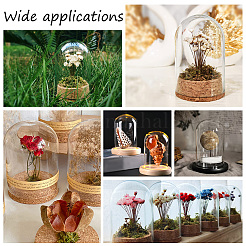 Glass Dome Cloche Cover&nbsp;AJEW-PH0004-18