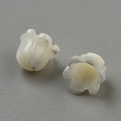 Natural Sea Shell Carved Beads&nbsp;LS-SHEL-WH0001-021A