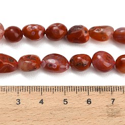 天然赤瑪瑙（染色・加熱）ビーズ連売り  ナゲット  タンブルストーン  8~14x7.5~10x6~9mm  穴：1mm  約40~42個/連  15.75~15.94インチ（40~40.5cm）&nbsp;G-C287-A01-01