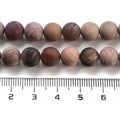 Frosted Natural Petrified Wood Round Bead Strands&nbsp;G-F266-07-8mm-01