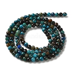 Natural Chrysocolla Beads Strands&nbsp;G-Z150-A05-3mm-B