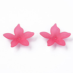 Transparent Acrylic Beads&nbsp;X-MACR-S373-127-D