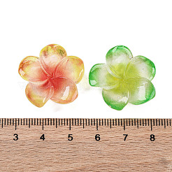 Opaque Resin Cabochons&nbsp;RESI-R455-01F