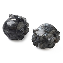 天然ラルビカイトの彫刻された置物  ホームオフィスのデスクトップ装飾用  豚  17~19x23~24.5x19.5~21mm&nbsp;DJEW-L023-C03