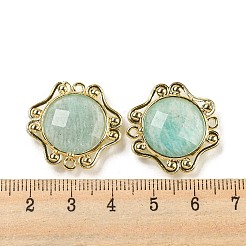 天然アマゾナイト ファセットコネクタチャーム  ラックメッキ金メッキ真鍮楕円リンク  23x23.5x6~6.5mm  穴：1.5mm&nbsp;G-M431-09G-01