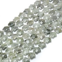 天然石ラブラドライトビーズ連売り  多面カット  スター  シードビーズで  13~14.5x14~14.5x5.5~6mm  穴：1.2mm  約27個/連  15.55''（39.5センチメートル）&nbsp;G-P573-C07-01