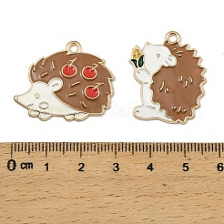 Alloy Enamel Pendants&nbsp;FIND-I064-07G