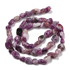 Natural Lepidolite/Purple Mica Stone Beads Strands&nbsp;G-S383-01
