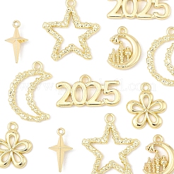 12本6スタイルアロイペンダント  ムーン  スター  花のチャーム  ゴールドカラー  12.5~24.5x9~22x2~5mm  穴：1~2.5mm  2個/スタイル&nbsp;FIND-FS0003-38G