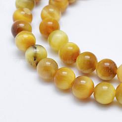 天然ゴールドタイガーアイビーズ連売り  ラウンド  6mm  穴：1mm  約61~63個/連  14.9インチ（38cm）&nbsp;G-K203-84-6mm