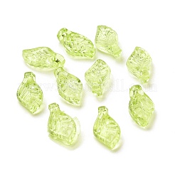Transparent Acrylic Charms&nbsp;TACR-G041-01A