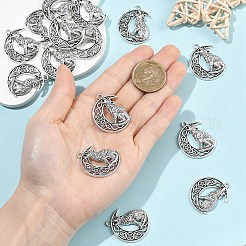 15Pcs Tibetan Style Alloy Pendants&nbsp;FIND-YW0011-12