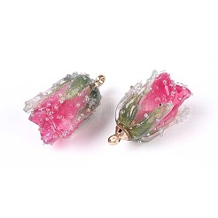 Transparent Acrylic Pendants&nbsp;SACR-T017-53C