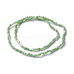 電気メッキガラスビーズセット  ABカラーメッキ  多面カット  フラットラウンド  ライムグリーン  4.5x3mm  穴：1mm  約145~150個/連  22.83''（58センチメートル）&nbsp;GLAA-E036-03D