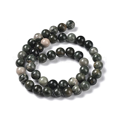 Natural Wood Lace Stone Wooden Jasper Beads Strands&nbsp;G-P497-02B-01