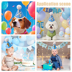 2Pcs 2 Styles Wool Felt Children Birthday Hat for One Year Old&nbsp;AJEW-BC0010-36
