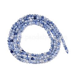 Natural Blue Spot Jasper Beads Strands&nbsp;G-A252-A02-01