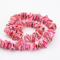 Natural Shell Bead Strands&nbsp;BSHE-P010-M