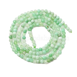 Natural Chrysoprase Beads Strands&nbsp;G-C196-A02-2mm