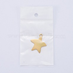 304 Stainless Steel Pendants&nbsp;STAS-I140-13G