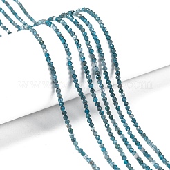 Natural Apatite Beads Strands&nbsp;G-K185-02